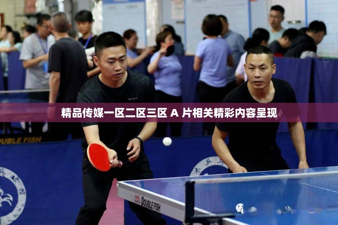 精品传媒一区二区三区 A 片相关精彩内容呈现
