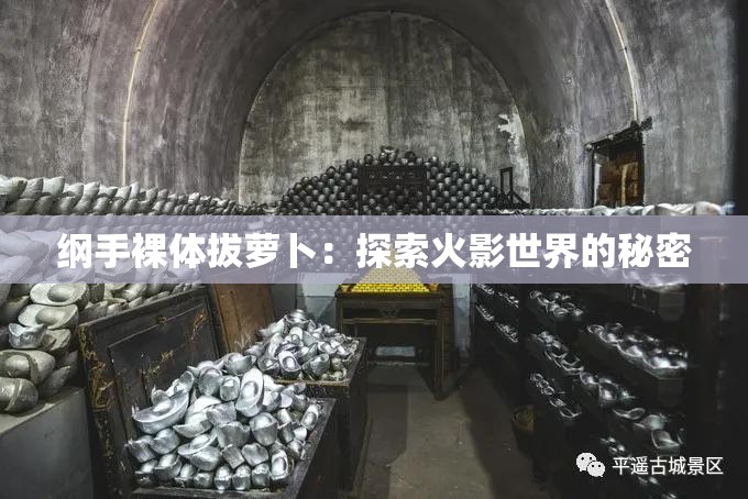 纲手裸体拔萝卜：探索火影世界的秘密