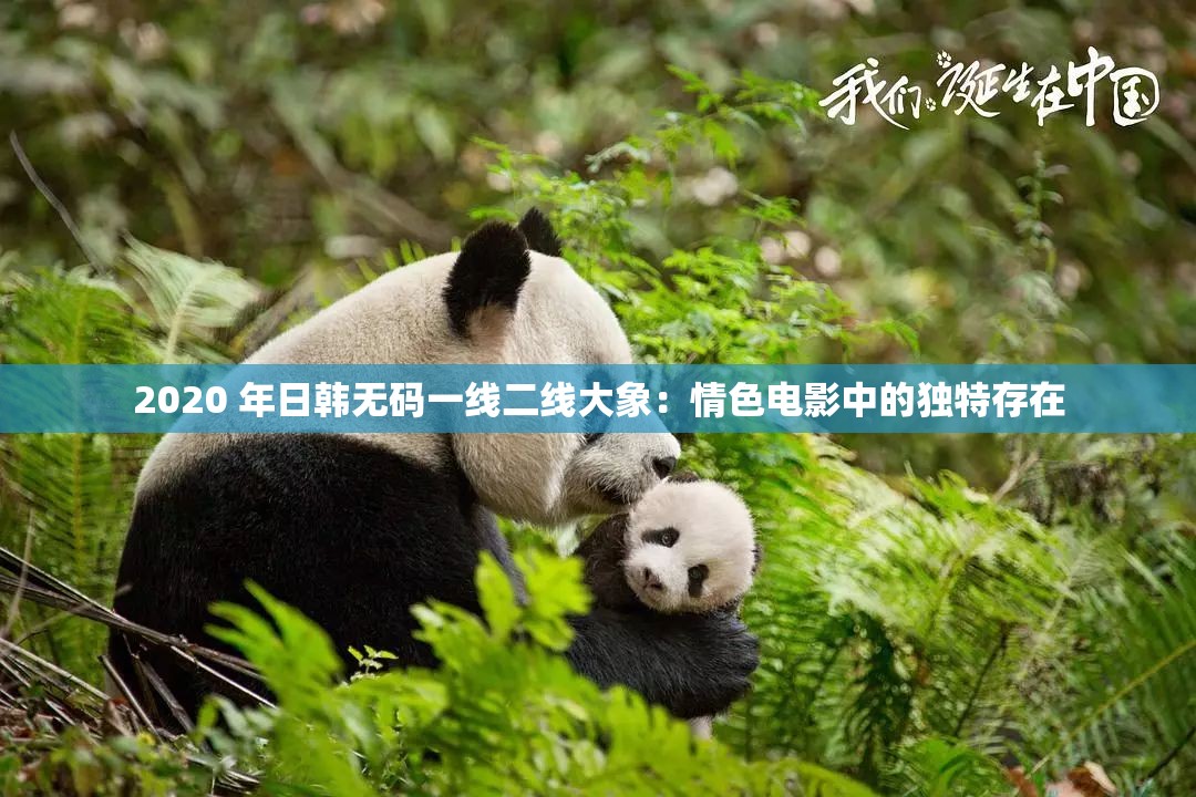 2020 年日韩无码一线二线大象：情色电影中的独特存在